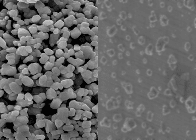ぼやけ・重なりも解析