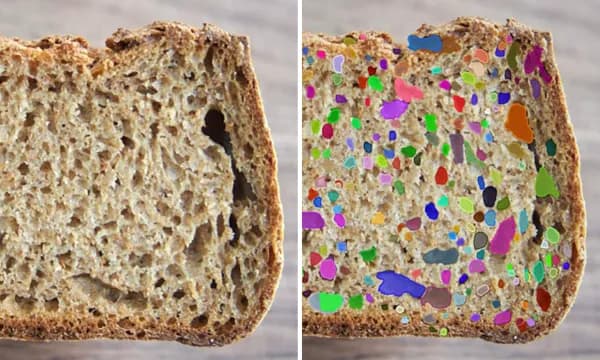 Segmentation result with bubble regions detected in a bread cross-section