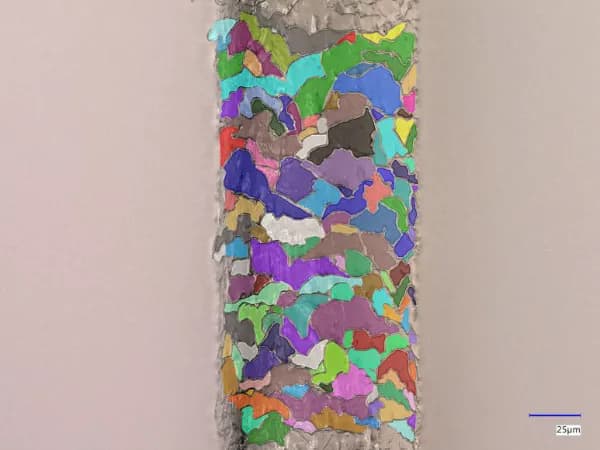 AIによりキューティクル輪郭を識別・区分した画像