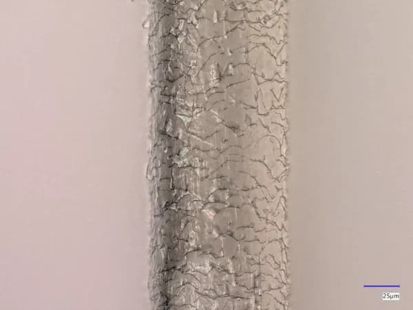 Cuticle image of hair surface captured with an electron microscope